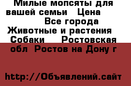 Милые мопсяты для вашей семьи › Цена ­ 20 000 - Все города Животные и растения » Собаки   . Ростовская обл.,Ростов-на-Дону г.